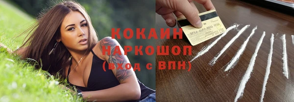дживик Алзамай